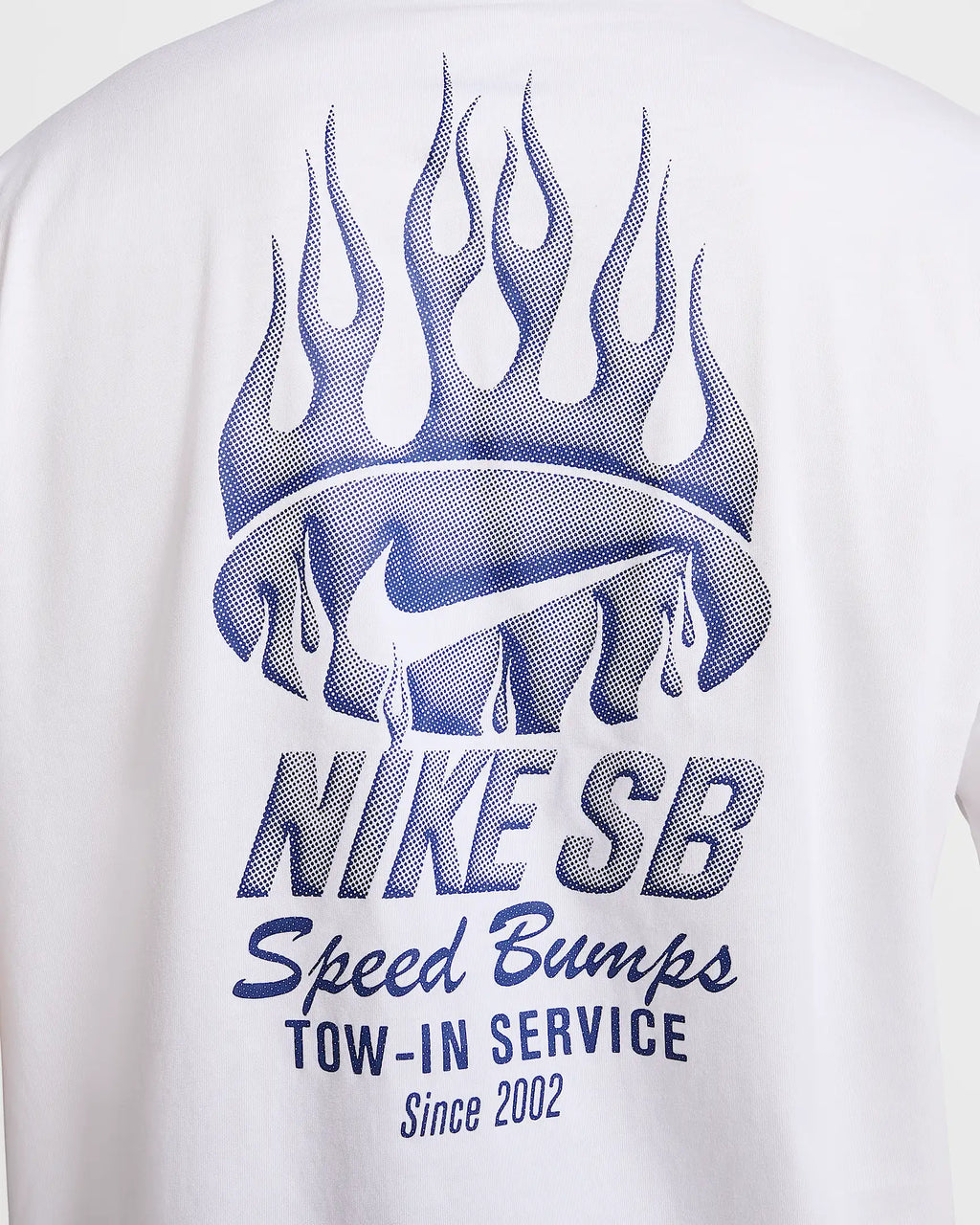 Nike SB