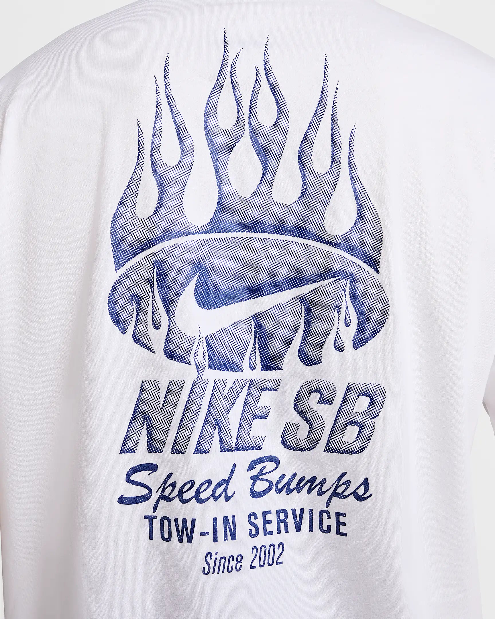 Nike SB